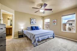 11541 Hibiscus - Image 4