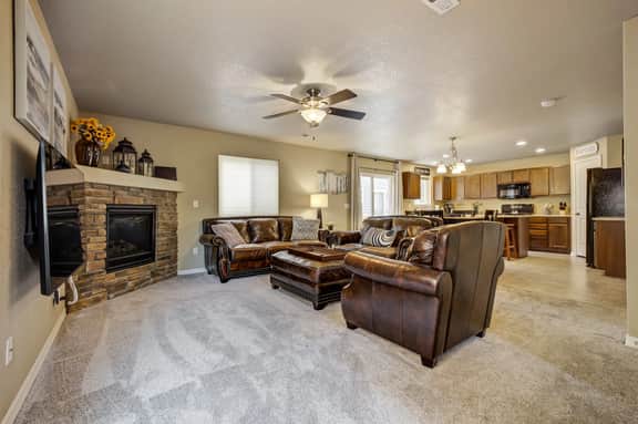 11541 Hibiscus - Image 3